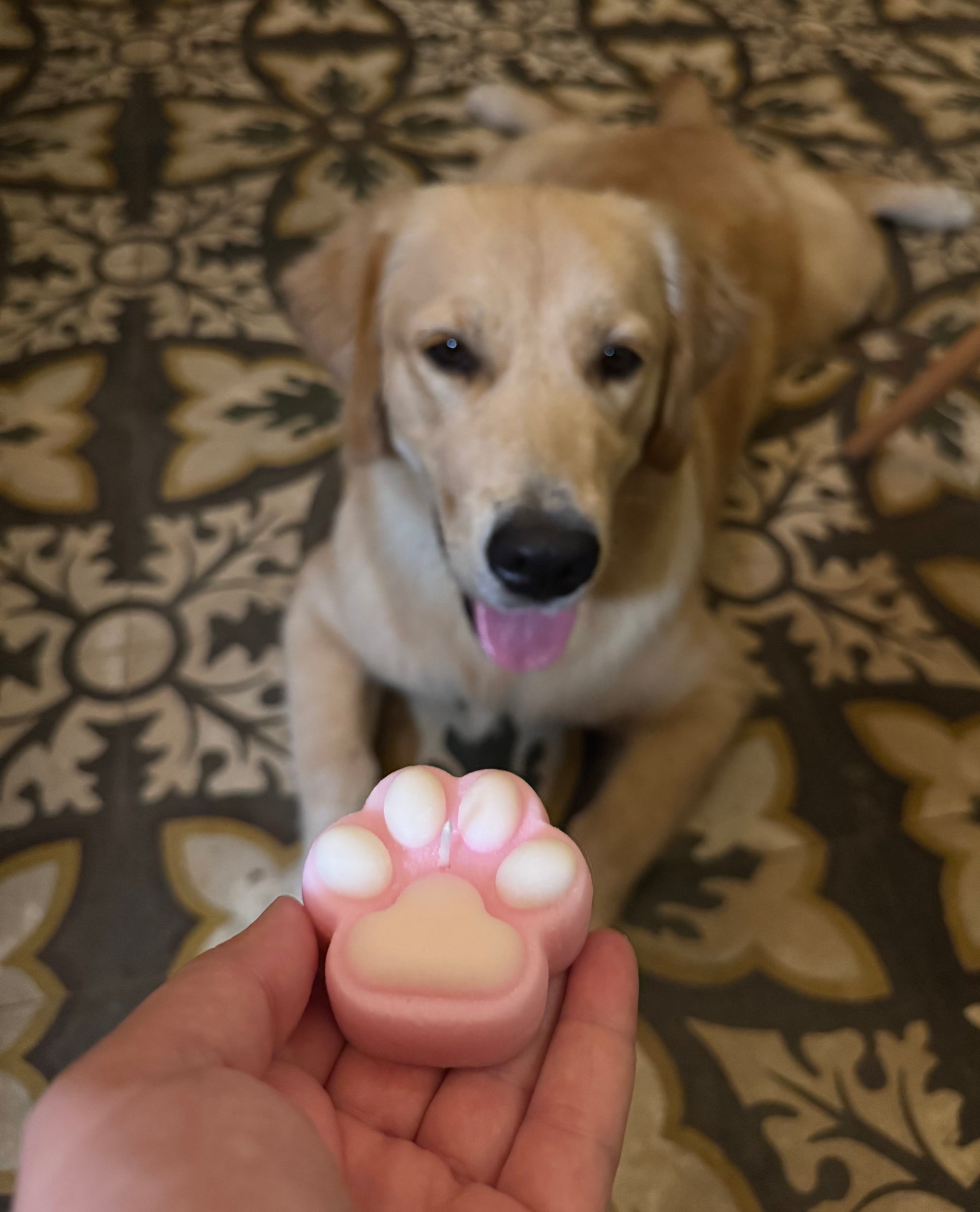 Candela a forma di zampa di cane con arya golden retriever